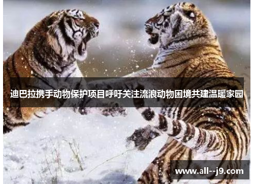 迪巴拉携手动物保护项目呼吁关注流浪动物困境共建温暖家园 迪巴拉携手动物保护项目呼吁关注流浪动物困境共建温暖家园