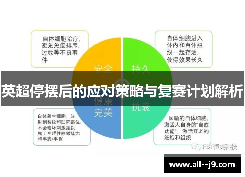 英超停摆后的应对策略与复赛计划解析
